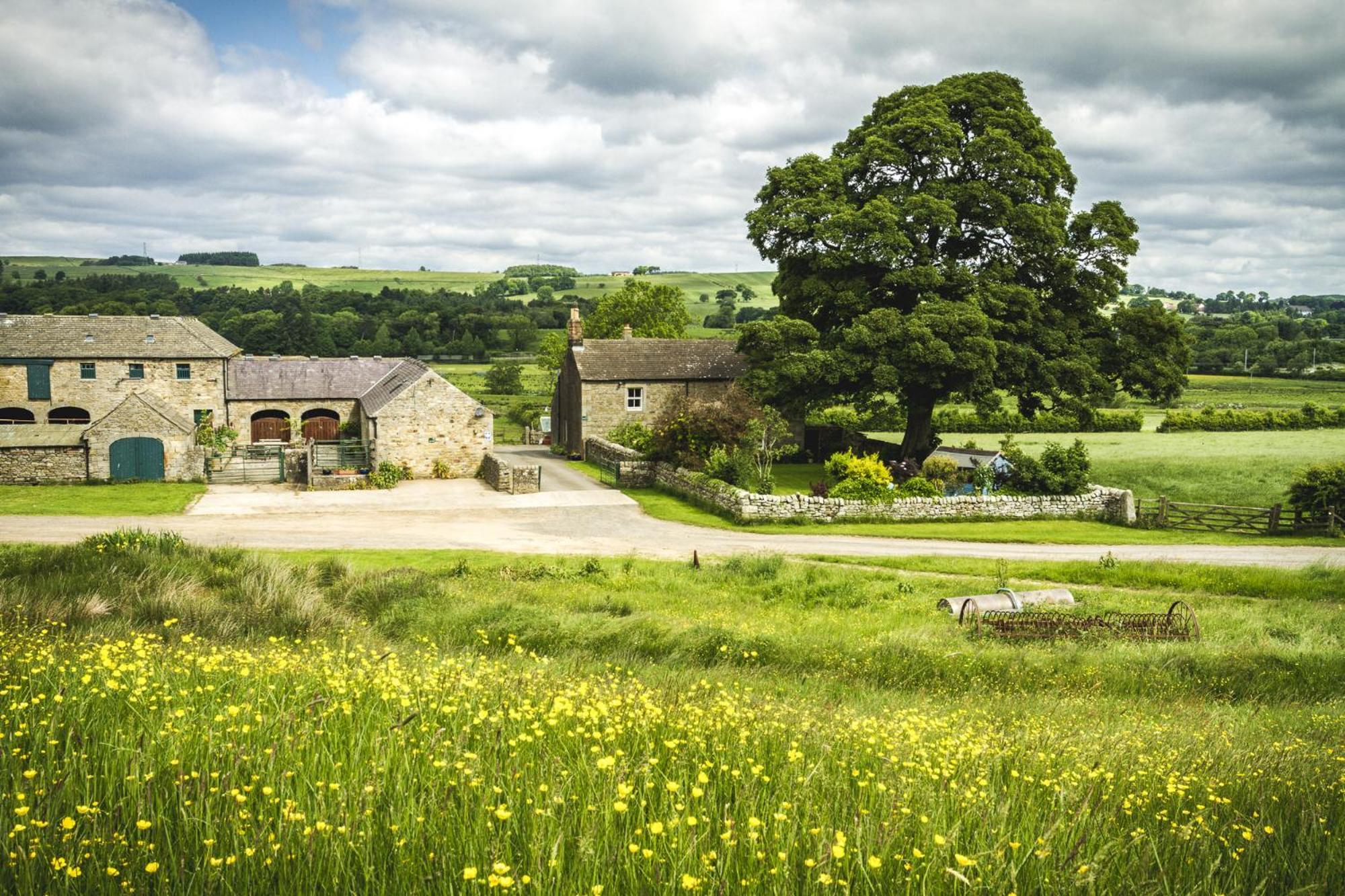 Wydon Farm Bed And Breakfast Haltwhistle Exterior foto